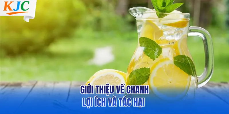 Giới thiệu về chanh – lợi ích và tác hại