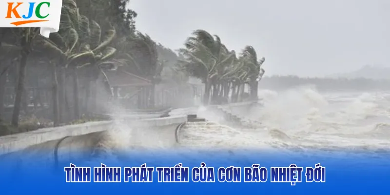 Tình hình phát triển của cơn bão nhiệt đới